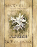 Azaleas Print by Carol Robinson Azaleas Print by Carol Robinson