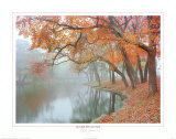Reflets d'automne Affiches par Mike Jones
