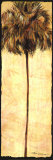 Sable Poster par Mary Anne James