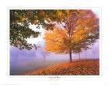 Bruma de otoño Pósters por Mike Jones
