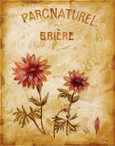 Parcnaturel I Print by Loretta Linza