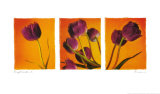 Bright Garden II Poster by Amy Melious