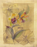 Bahama Breeze I Prints by Paul Hargittai
