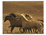 Like the Wind II Prints by Wendy Caro