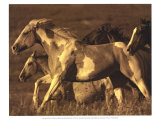 Like the Wind I Posters by Wendy Caro