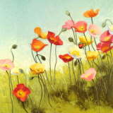 Meadow Suite I Prints by Shirley Novak