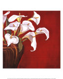 Callas on Red Prints by Ann Parr