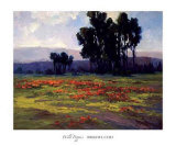Wild Poppies Prints by Brigitte Curt