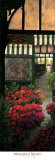 Market Awnings Poster by Montserrat Masdeu