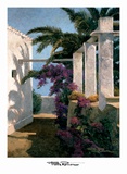 Bougainvillea and Palm Trees Posters by Poch Romeu