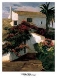 Courtyard Blossoms Prints by Poch Romeu