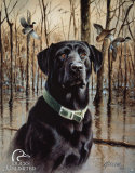 Ducks Unlimited: grandes perros de caza Cartel de chapa