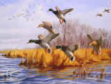 Ducks Unlimited As Good As Home Tin Sign