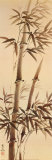 Kee Hee Lee - Bamboo Forever I - Sanat Kee Hee Lee - Bamboo Forever I - Sanat