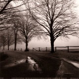 After the Rain Art by Harold Silverman