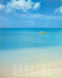 Blue Seas of Barbados Poster by Larry Ulrich