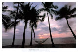 Coconut Palms Posters van Larry Ulrich Coconut Palms Posters van Larry Ulrich