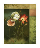 Tulipes Affiches par Lisa Audit