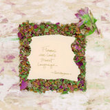 Flowers Are Lover's Prints