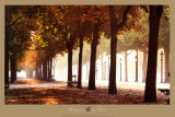 Champs-Elysees Poster van Bo Brannhage