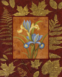 Iris on Golden Leaves Poster by Debra Lake