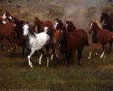 Wild Horses Print by Ron Kimball