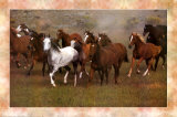 Wild Horses Pósters por Ron Kimball Wild Horses Pósters por Ron Kimball