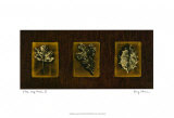 Block Leaf Panel II Prints by Nancy Stocum Block Leaf Panel II Prints by Nancy Stocum