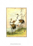 Oriental Cranes I Prints
