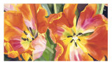 Two Parrot Tulips Prints by Leslie Gerstman