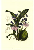 Exotic Foliage IV Prints