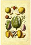 Früchte und Nüsse II Poster