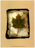 Kyoto Leaves V Posters by Kate Archie