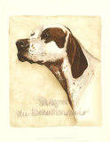 Braque du Bourbonnais Prints