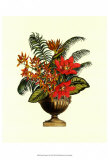 Exotic Flowers in Urn I Posters Exotic Flowers in Urn I Posters
