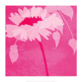 Boshoku Print by Kate Knight