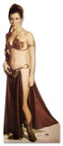 Princesa Leia Imagen a tamaño natural