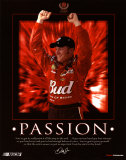 Dale Earnhardt Jr. Passion Obrazy