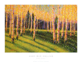 Aspen Light, Left Poster par Gary Max Collins