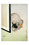 Katze und Spinne Giclée-Druck