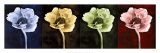 Anemone Print by Christine Zalewski