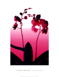 Orquídea en ciruela claro Arte por Nina Farrell