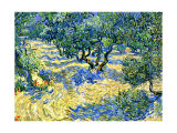 Olive Orchard, c.1889 Gicléedruk van Vincent van Gogh