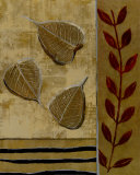 Sage Leaves Prints by Richard Ivy