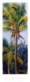 Coconut Palm Plakater av Lois Brezinski