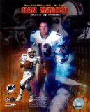 Dan Marino - Hall of Fame Composite Photo