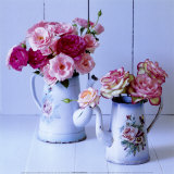 Pot's and Roses Prints by Camille Soulayrol