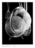 Whip It Up II Prints by Durwood Zedd