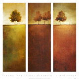 Trees Dreaming Poster by Tracey Lane