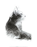 Cat's Head Prints by Aurore De La Morinerie